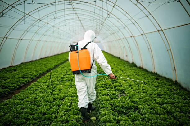 Best Pest Control for Restaurants  in Sewanee, TN