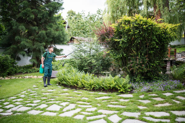 Best Exterminator Services  in Sewanee, TN