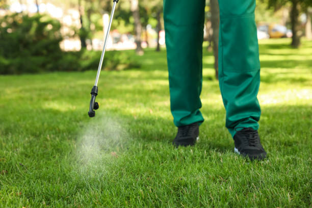 Best Wildlife Control Services  in Sewanee, TN