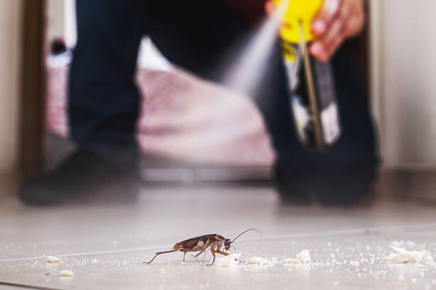 Best Pest Prevention Services  in Sewanee, TN