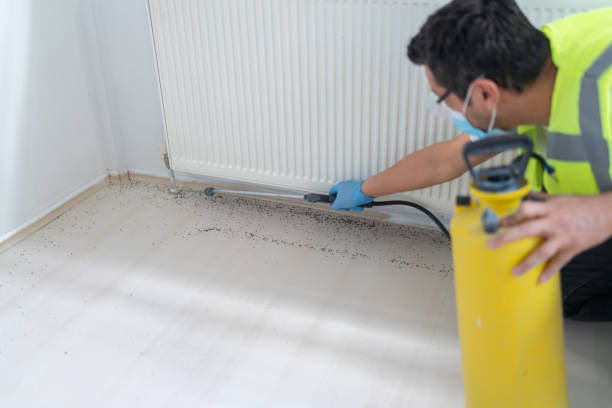 Best Affordable Pest Control Services  in Sewanee, TN